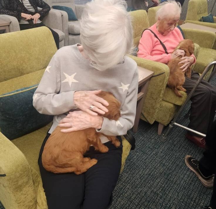 resident cuddling the dogs