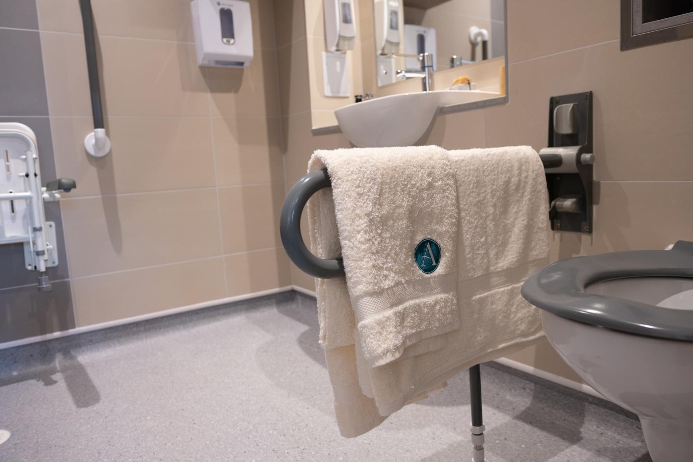 assisted bathroom
